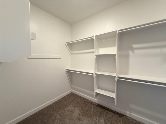 spacious closet featuring dark carpet