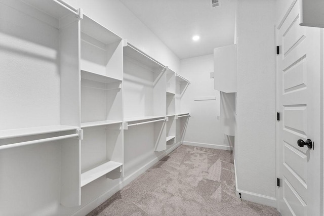 909 Budrio Ave, Tontitown, AR 72762 - spacious closet with carpet