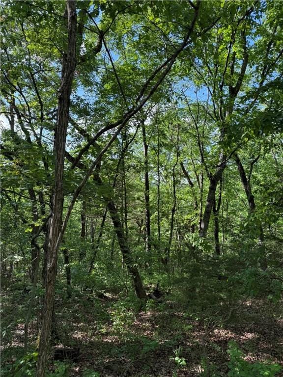 Woodside Ln, Holiday Island, AR 72631 - photo 1