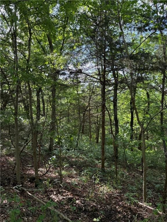 Woodside Ln, Holiday Island, AR 72631 - photo 3