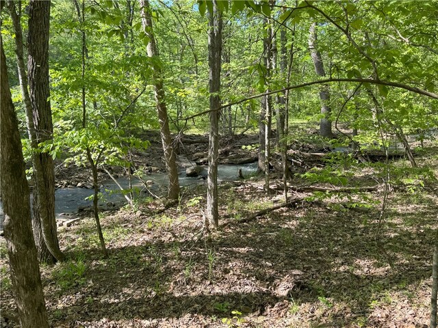 Madison 3300, Witter, AR 72776 - photo 3