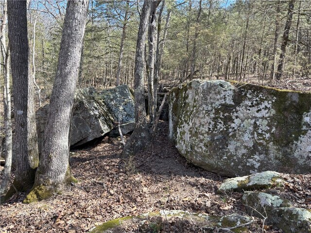 Madison 3300, Witter, AR 72776 - photo 4