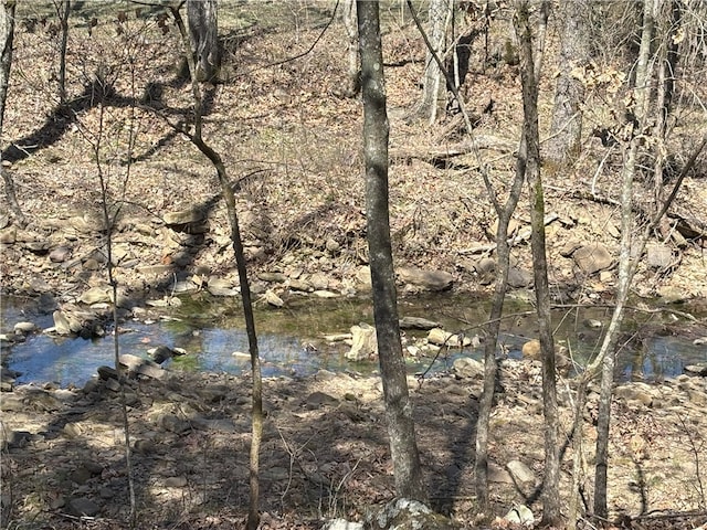 Madison 3300, Witter, AR 72776 - photo 5