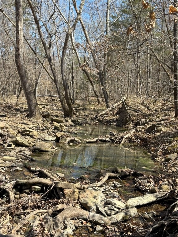 Madison 3300, Witter, AR 72776 - photo 12