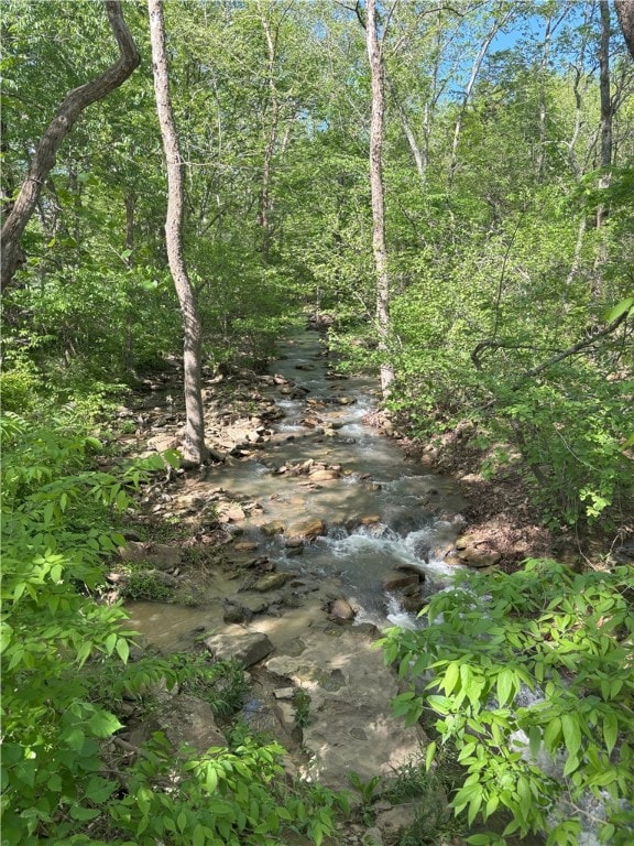 Madison 3300, Witter, AR 72776 - photo 14