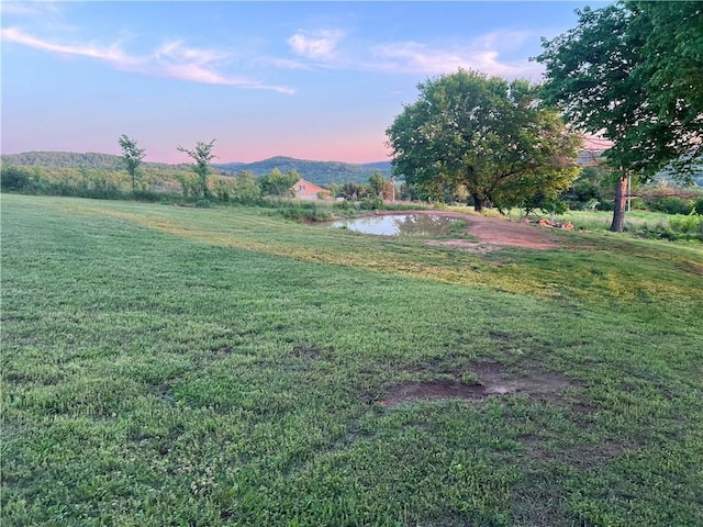 view of yard at dusk