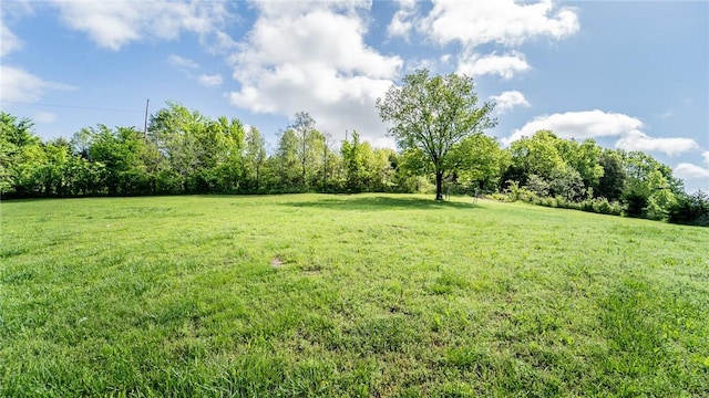 view of yard with a rural view