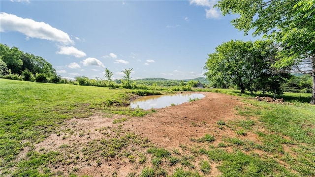 view of yard with a water view