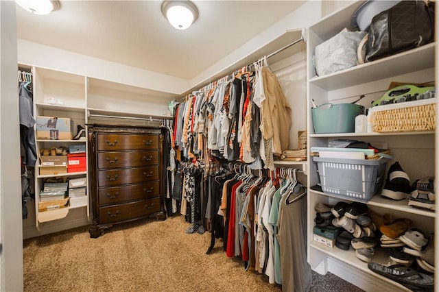 walk in closet featuring carpet flooring