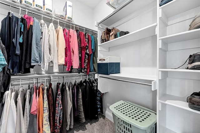 walk in closet with carpet floors