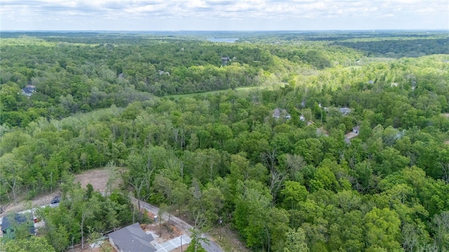 LOT11 Malone Dr, Bella Vista, AR 72715 - photo 13