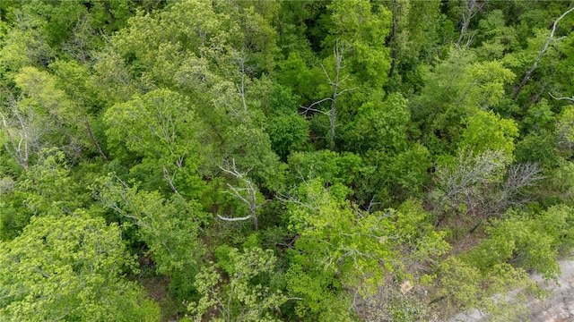 LOT11 Malone Dr, Bella Vista, AR 72715 - photo 15