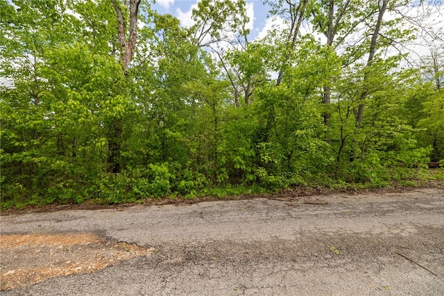 LOT11 Malone Dr, Bella Vista, AR 72715 - photo 17