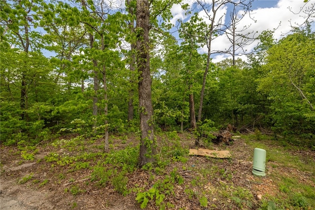 LOT11 Malone Dr, Bella Vista, AR 72715 - photo 18