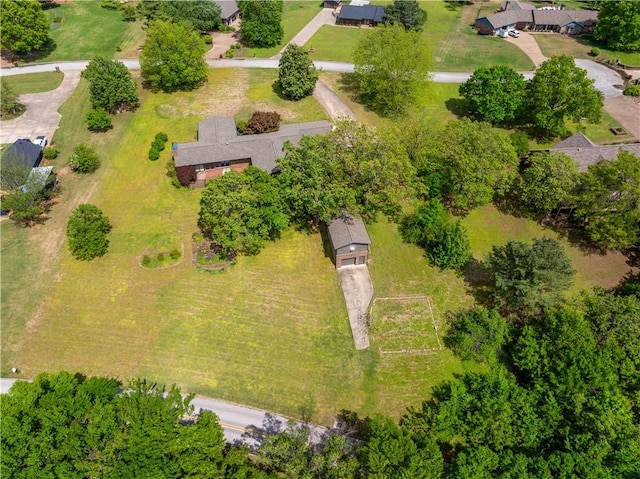 drone / aerial view