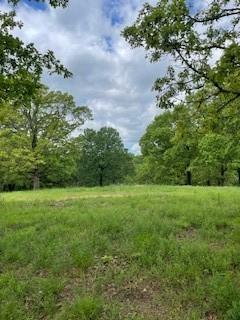 12 S Oakwood Trl, Noel, MO 64854