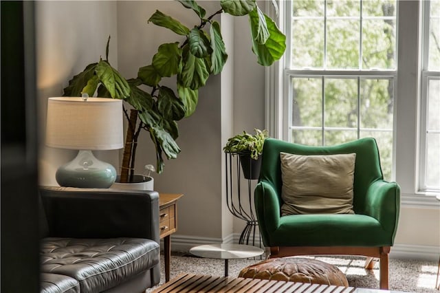 living area featuring baseboards