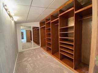6 Briarwood Ln, Clarksville, AR 72830 - view of spacious closet