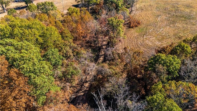 LOT2OF4692 State Highway 90, Washburn, MO 65772