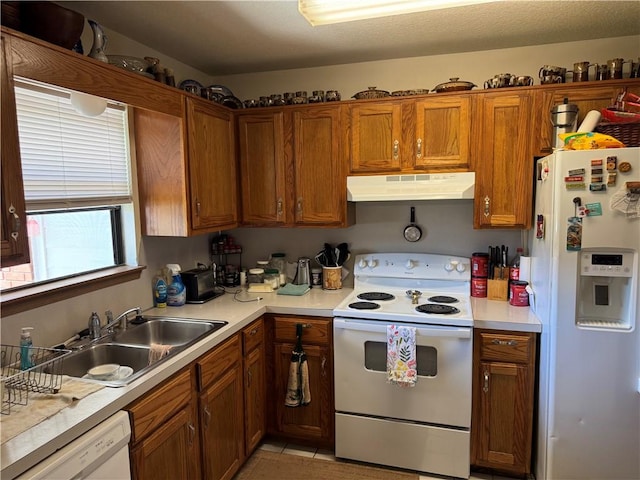 kitchen featuring brown cabinets, a sink, white appliances, light countertops, and under cabinet range hood