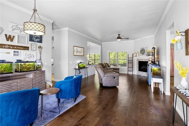 11003 David Ct, Siloam Springs, AR 72761 - living area featuring ornamental molding, a fireplace, baseboards, hardwood / wood-style flooring, and a ceiling fan