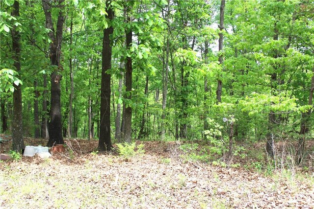 9324 Tomerlin Grist Mill Rd, Rogers, AR 72756 - photo 13