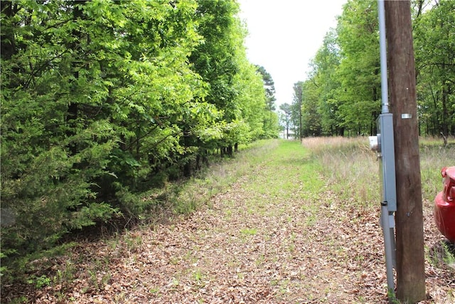 9324 Tomerlin Grist Mill Rd, Rogers, AR 72756 - view of yard