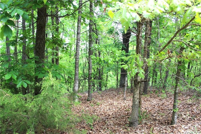 9324 Tomerlin Grist Mill Rd, Rogers, AR 72756 - view of local wilderness with a forest view