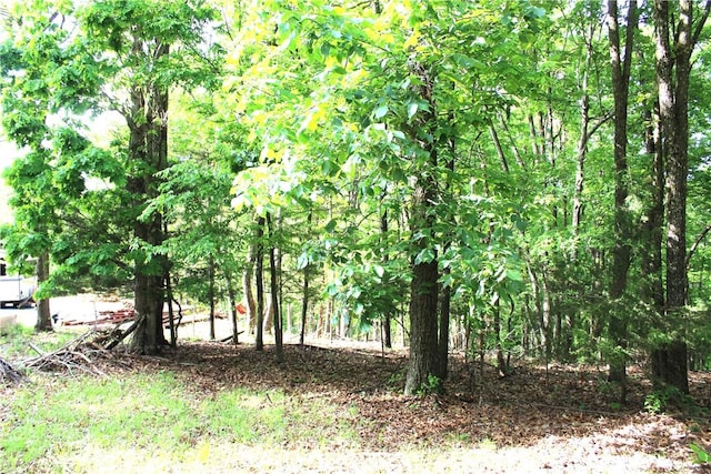 9324 Tomerlin Grist Mill Rd, Rogers, AR 72756 - view of landscape