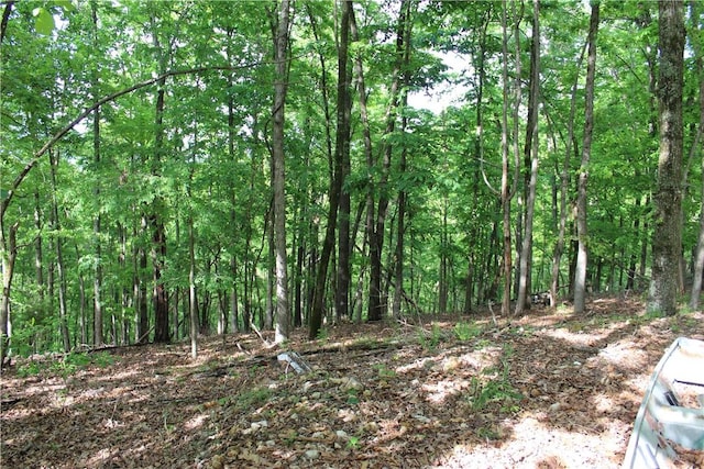 9324 Tomerlin Grist Mill Rd, Rogers, AR 72756 - photo 21