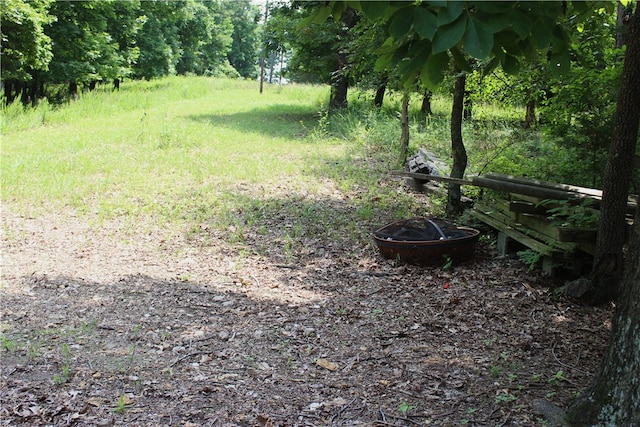 9324 Tomerlin Grist Mill Rd, Rogers, AR 72756 - photo 22