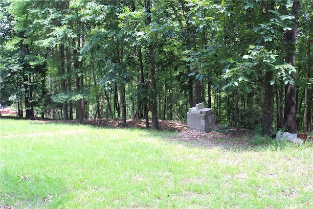 9324 Tomerlin Grist Mill Rd, Rogers, AR 72756 - photo 23