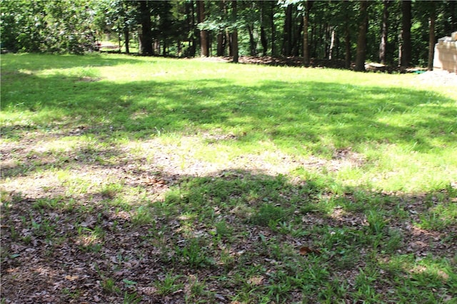9324 Tomerlin Grist Mill Rd, Rogers, AR 72756 - photo 24