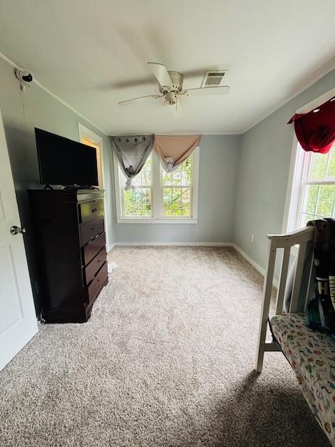 503 W 19th St, Russellville, AR 72801 - photo 8