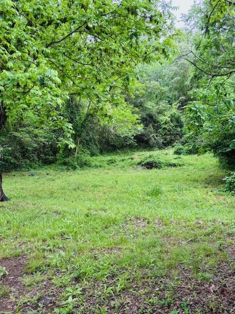 503 W 19th St, Russellville, AR 72801 - photo 16