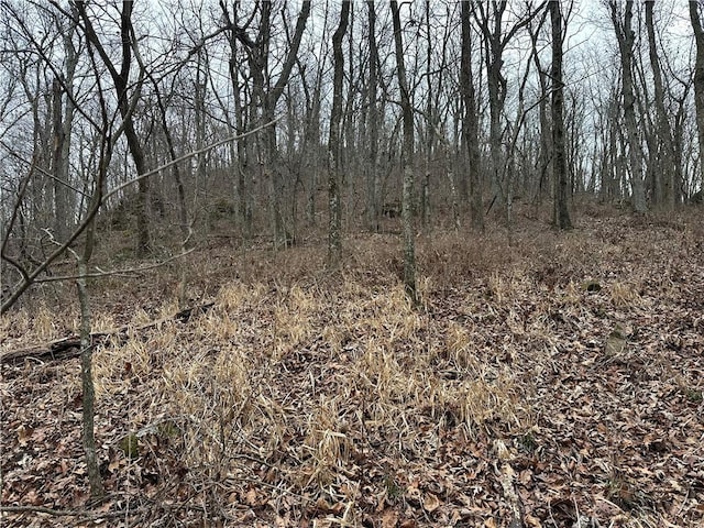 TBD Cr 96, Jasper AR, 72641 land for sale