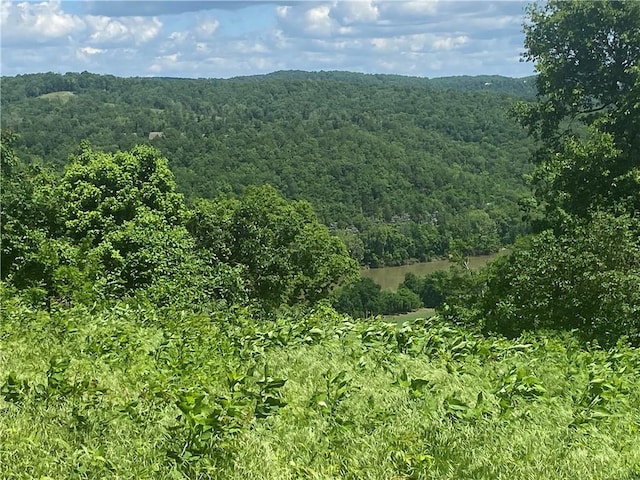 Eagle Point Rd, Mountain View, AR 72560