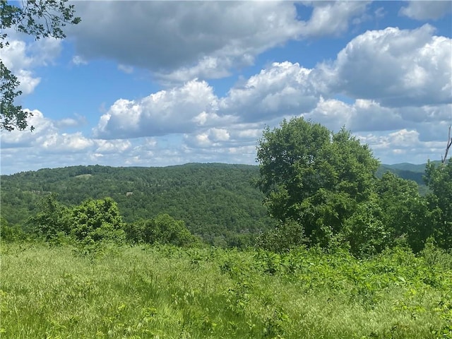 Eagle Point Rd, Mountain View, AR 72560
