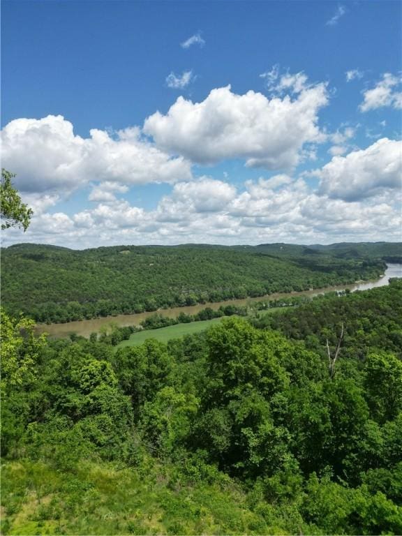 Eagle Point Rd, Mountain View, AR 72560