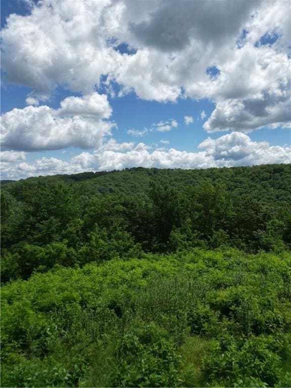 Eagle Point Rd, Mountain View, AR 72560