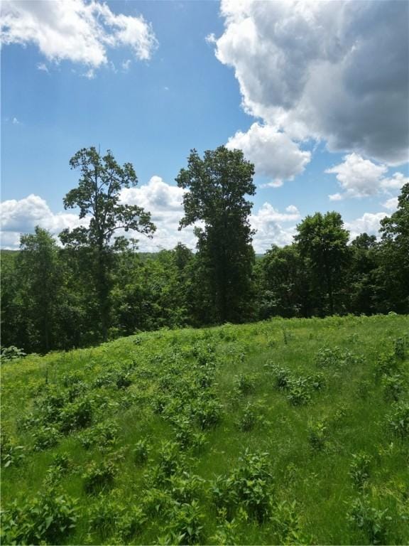 Eagle Point Rd, Mountain View, AR 72560
