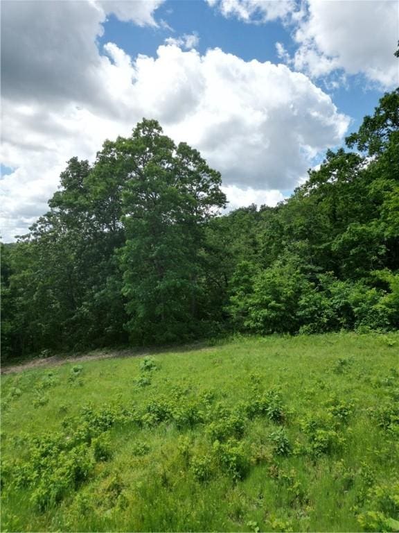 Eagle Point Rd, Mountain View, AR 72560