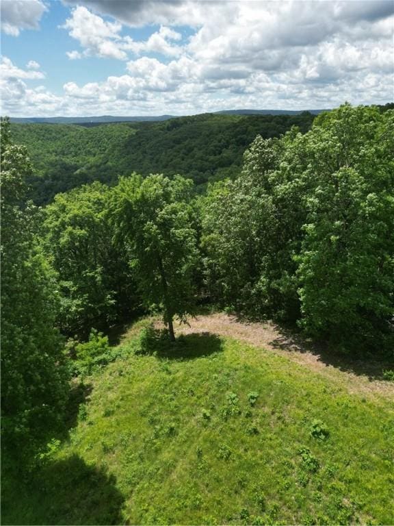 Eagle Point Rd, Mountain View, AR 72560