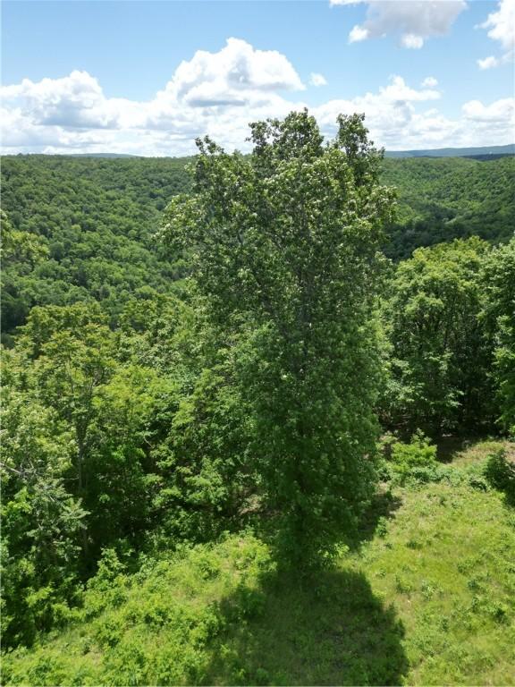 Eagle Point Rd, Mountain View, AR 72560