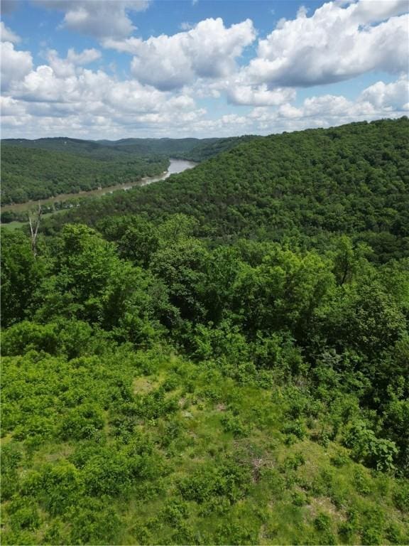 Eagle Point Rd, Mountain View, AR 72560