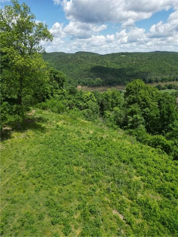 Eagle Point Rd, Mountain View, AR 72560
