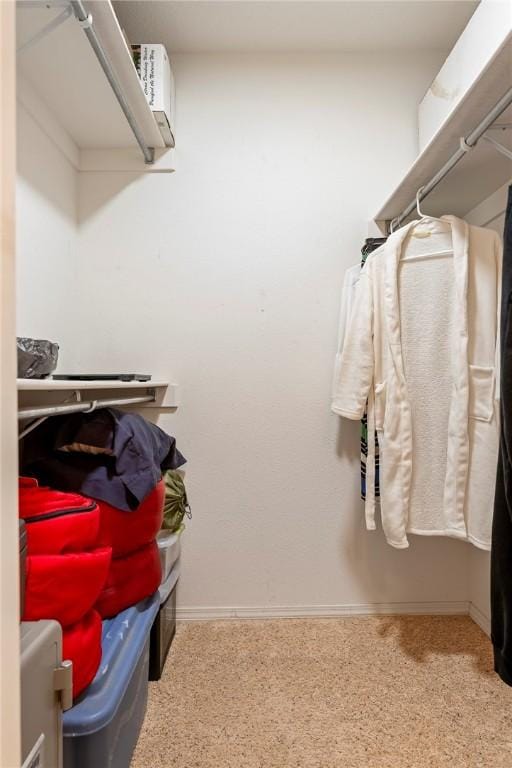 view of walk in closet