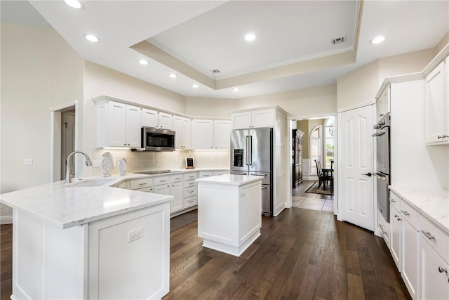 kitchen featuring a tray ceiling, a peninsula, appliances with stainless steel finishes, and a sink