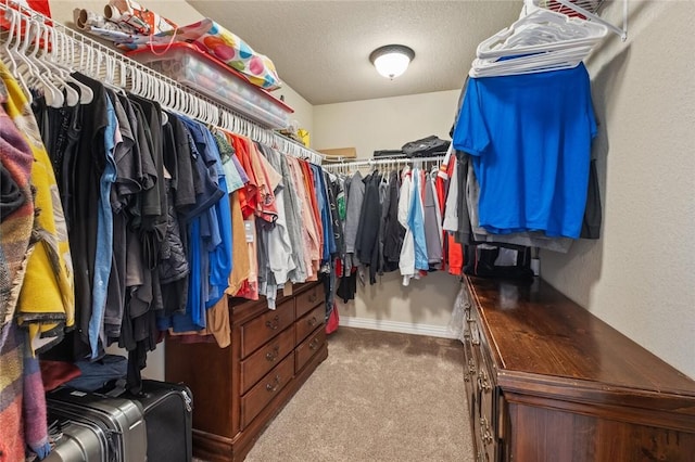 walk in closet with carpet flooring