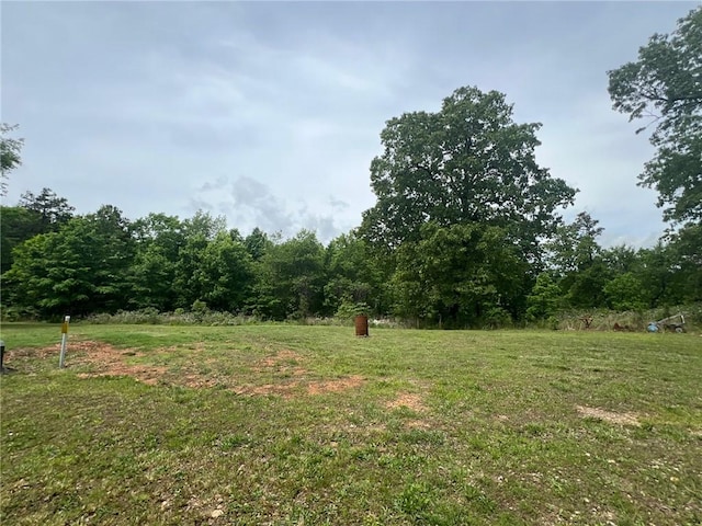 4401 Ar 74e, Jasper, AR 72641 - view of yard with a forest view